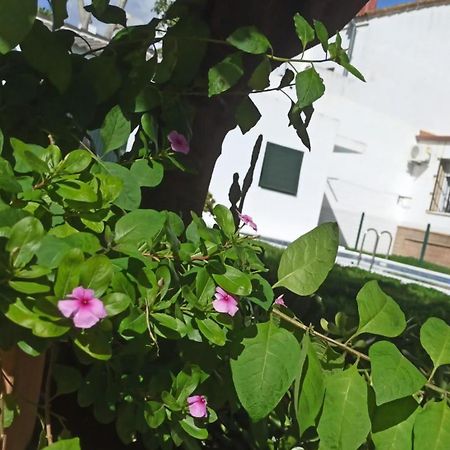 Casa Turquesa Valencina de la Concepción Exterior foto